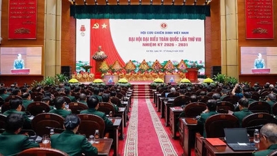 Phát huy mạnh mẽ vai trò cựu chiến binh trong xây dựng Đảng, chính quyền