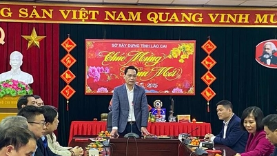 Il Dipartimento delle Costruzioni della provincia di Lao Cai ha organizzato il lancio di una campagna all'inizio dell'Anno del Serpente - 2025.