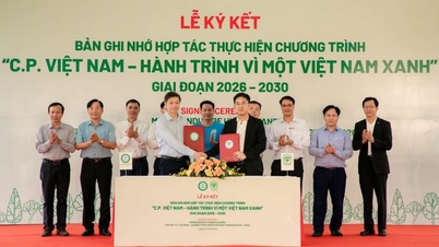 Kerajaan Vietnam sedang menanam tambahan 1.5 juta pokok.