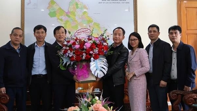 Șeful Inspectoratului Provincial a felicitat Departamentul Educației și Formării Profesionale cu ocazia Zilei Profesorilor Vietnamezi.