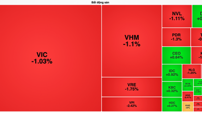 VN-Index loses points, nearly 2.9 trillion VND 'flee' from real estate stocks.
