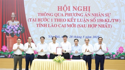 Attraverso la prima fase del piano del personale per la nuova provincia di Lao Cai.