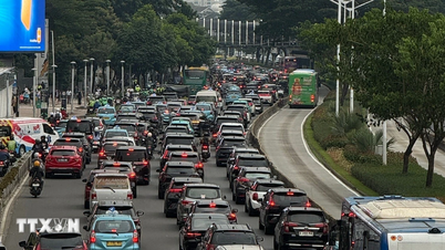 De Indonesische hoofdstad kampt met het probleem van een "bevolkingsexplosie" van zwerfkatten.