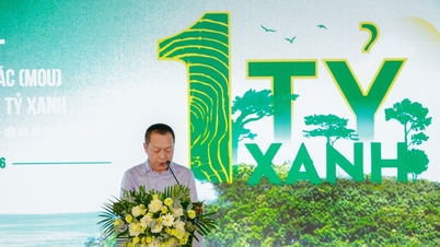 Dat Phuong Group meluncurkan kampanye "1 Miliar Hijau" untuk berkontribusi pada pelestarian ekosistem Pulau Cham.