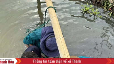 De watervoorziening staat onder druk op rijstvelden die getroffen zijn door plaatselijke droogte.