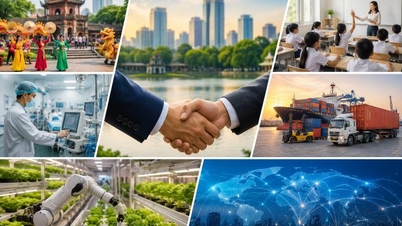 Hanoi memberikan dukungan kepada perusahaan swasta di 5 sektor prioritas.