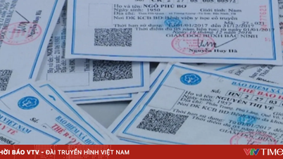 Khi nào được hưởng BHYT theo diện cựu chiến binh?