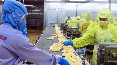 As exportações de frutos do mar enfrentam muitos obstáculos.