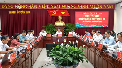 គណៈកម្មាធិការអចិន្ត្រៃយ៍នៃគណៈកម្មាធិការបក្សក្រុងបានផ្តល់យោបល់លើកម្មវិធី និងសំណើនានានៅក្នុងសម័យប្រជុំលើកទី 3 នៃក្រុមប្រឹក្សាប្រជាជនក្រុង។
