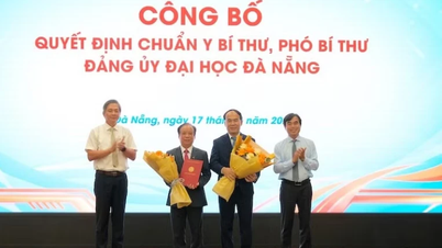 Bổ nhiệm 6 Hiệu trưởng các trường đại học thuộc Đại học Đà Nẵng