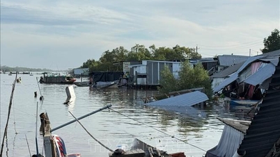 Osunięcia ziemi powodują poważne szkody materialne w Ca Mau.