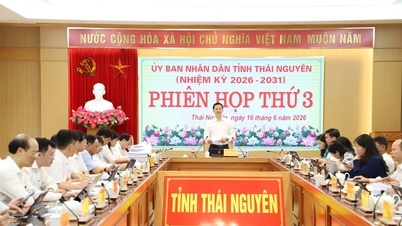 The People's Committee of Thai Nguyen province held its 3rd meeting.