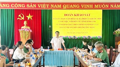 Ủy ban Văn hóa và Xã hội khảo sát công tác bảo vệ trẻ em trên môi trường mạng tại Đắk Lắk