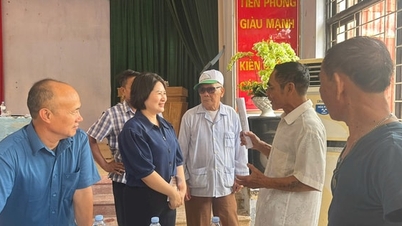 Effektiviteten av modellen med «to lags regjering» i Thuong Tin kommune.