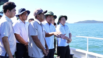 Khảo sát vùng biển nuôi trồng thủy sản, tìm giải pháp phát triển bền vững