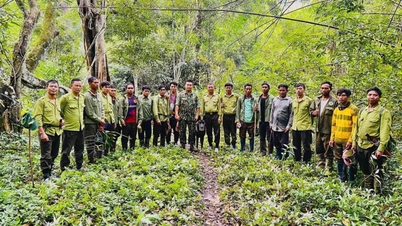 Peran petugas kehutanan dalam melindungi sumber daya hutan.
