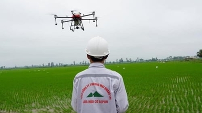 De provincie Quang Tri streeft ernaar om jaarlijks 1.000 hectare landbouwgrond te consolideren en te concentreren.
