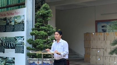 SỞ VĂN HÓA VÀ THỂ THAO THÀNH PHỐ HỒ CHÍ MINH QUYÊN GÓP, ỦNG HỘ ĐỒNG BÀO KHẮC PHỤC HẬU QUẢ MƯA, LŨ
