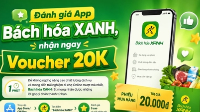 Πώς να λάβετε ένα κουπόνι 20.000 VND κατά την αξιολόγηση της εφαρμογής Bach Hoa XANH.