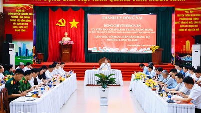 नगर पार्टी समिति के सचिव वू होंग वान, लॉन्ग थान वार्ड पार्टी समिति की कार्यकारी समिति के साथ मिलकर काम करते हैं।