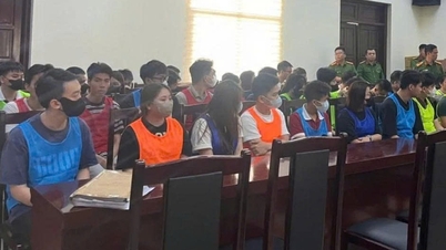 Khởi tố 187 bị can liên quan đến lừa đảo hợp đồng kỳ nghỉ, chiếm đoạt hơn 181 tỷ đồng