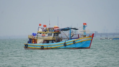 เพิ่มมาตรการความปลอดภัยในการจับสัตว์ทะเลในช่วงฤดูฝนและฤดูพายุให้เข้มงวดขึ้น