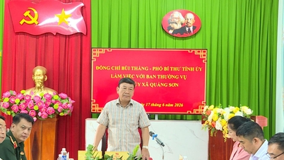 Timbalan Setiausaha Jawatankuasa Parti Wilayah Bui Thang mengarah usaha untuk mengatasi kesukaran di komune Quang Son.