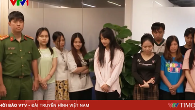 Núp bóng doanh nghiệp du lịch để giăng “bẫy” kỳ nghỉ
