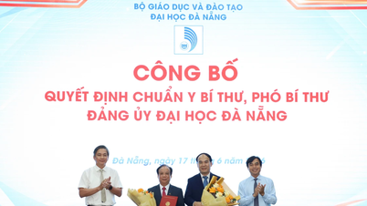 Công bố quyết định nhân sự tại Đại học Đà Nẵng và các trường thành viên