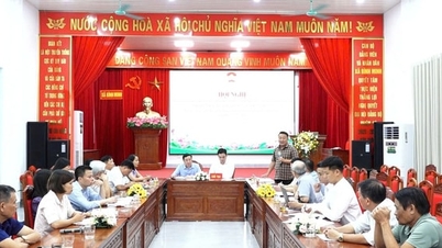 Å utnytte folkets visdom til å formulere utviklingsretningslinjer for Binh Minh-kommunen.
