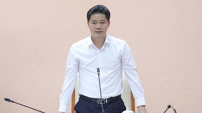 Thứ trưởng Vũ Mạnh Hà: Chính sách về y dược cổ truyền phải vừa quản lý chặt chẽ, vừa tạo động lực phát triển