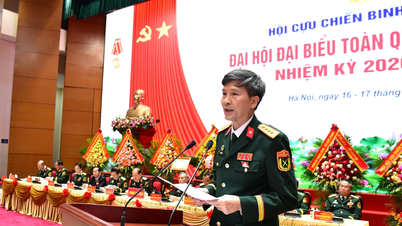 Ninh Binh Provincial Veterans Association: Building a strong association organization from the grassroots level.