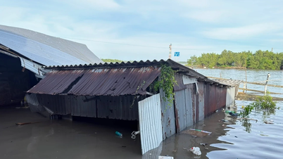 3 serious landslides in Ca Mau