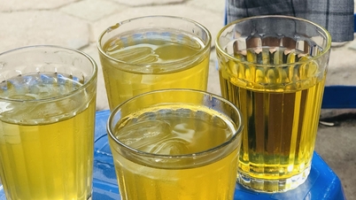 Un médico comparte los cambios que ha experimentado su cuerpo tras seis meses bebiendo té verde a diario.