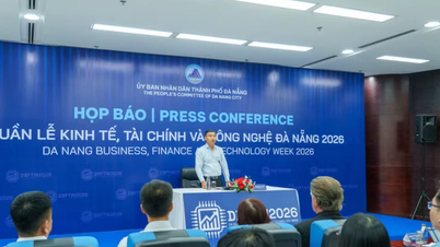 350 amerikanske repræsentanter deltog i Da Nang Economic, Financial and Technology Week 2026.