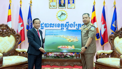 Delegasi Provinsi Gia Lai melakukan kunjungan kehormatan kepada para pemimpin Provinsi Stung Treng.