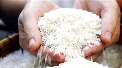 ยกระดับคุณภาพและมูลค่าของเมล็ดข้าวเวียดนาม