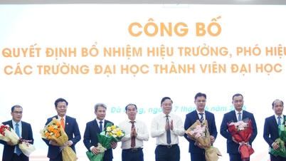Đại học Đà Nẵng kiện toàn lãnh đạo 6 trường thành viên