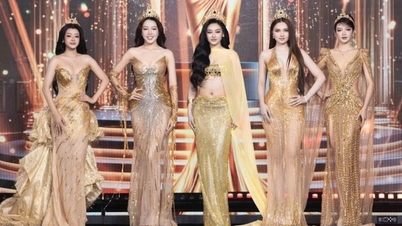 Miss Grand Vietnam 2026 bỏ đêm thi bán kết