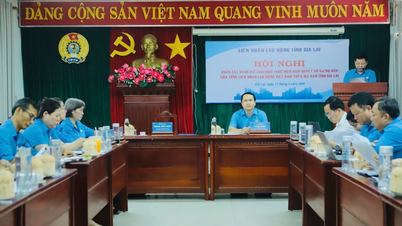The Vietnam General Confederation of Labor (VGCL) conducts a survey on the implementation of Resolution 6a at the Gia Lai Provincial Confederation of Labor.