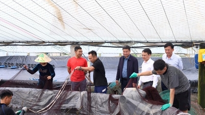 Eliminar o obstáculo ao acesso a empréstimos para empresas do setor de frutos do mar.