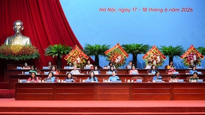 Báo cáo kết quả Hội nghị lần thứ nhất BCH Trung ương Hội Liên hiệp Phụ nữ Việt Nam