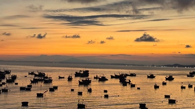 Kunjungi perkampungan nelayan Mui Ne untuk pasar awal pagi dan nikmati makanan laut yang baru disediakan.