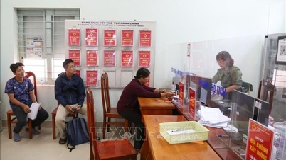 Dukungan hingga 5 juta VND/bulan bagi mereka yang bekerja di bidang transformasi digital dan keamanan siber.