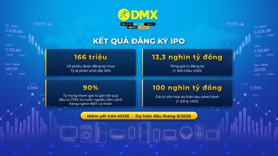 DMX Kết Thúc Đợt Mở Bán IPO Với Hơn 166 Triệu Cổ Phiếu Được Đăng Ký, Nhà Đầu Tư Tổ Chức Chiếm 90%