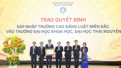 Fra udvidelse af ressourcer til opgradering af den juridiske uddannelse på University of Science (Thai Nguyen University)