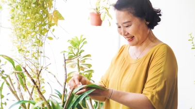 6 kebiasaan sederhana yang membantu orang berusia di atas 60 tahun hidup lebih lama.