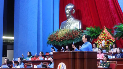 La presidenta de Vietjet, Nguyen Thi Phuong Thao, y muchas mujeres empresarias e intelectuales participan en el Comité Ejecutivo Central de la Unión de Mujeres de Vietnam.
