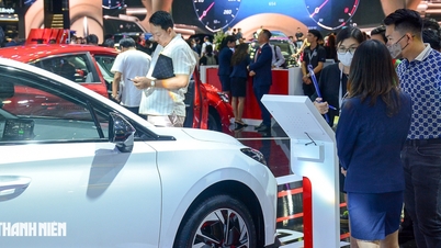 Masyarakat Vietnam yang membeli mobil bensin dan diesel: Lebih menyukai mobil impor daripada mobil rakitan dalam negeri.