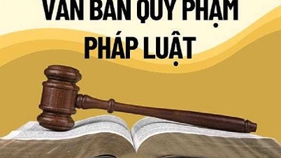 សេចក្តីសង្ខេបនៃចំណុចថ្មីៗ និងឯកសារណែនាំសម្រាប់ច្បាប់ស្តីពីថវិការដ្ឋ លេខ 89/2025/QH15